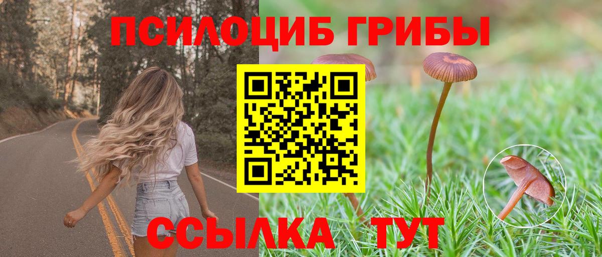 Псилоцибиновые грибы GOLDEN TEACHER  Вход с VPN  Моздок 