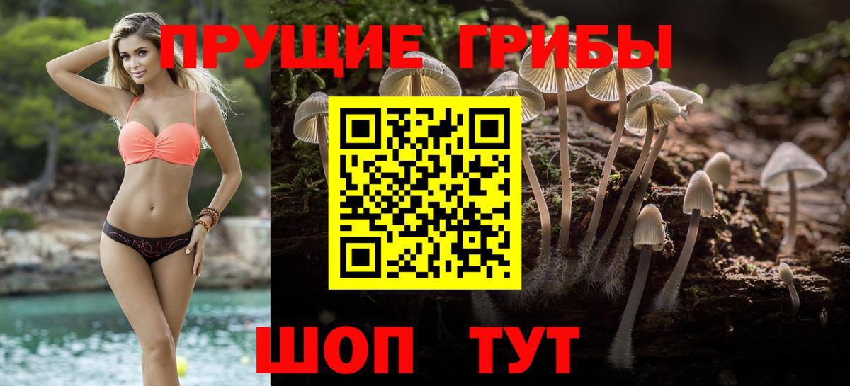 Галлюциногенные грибы Cubensis Моздок